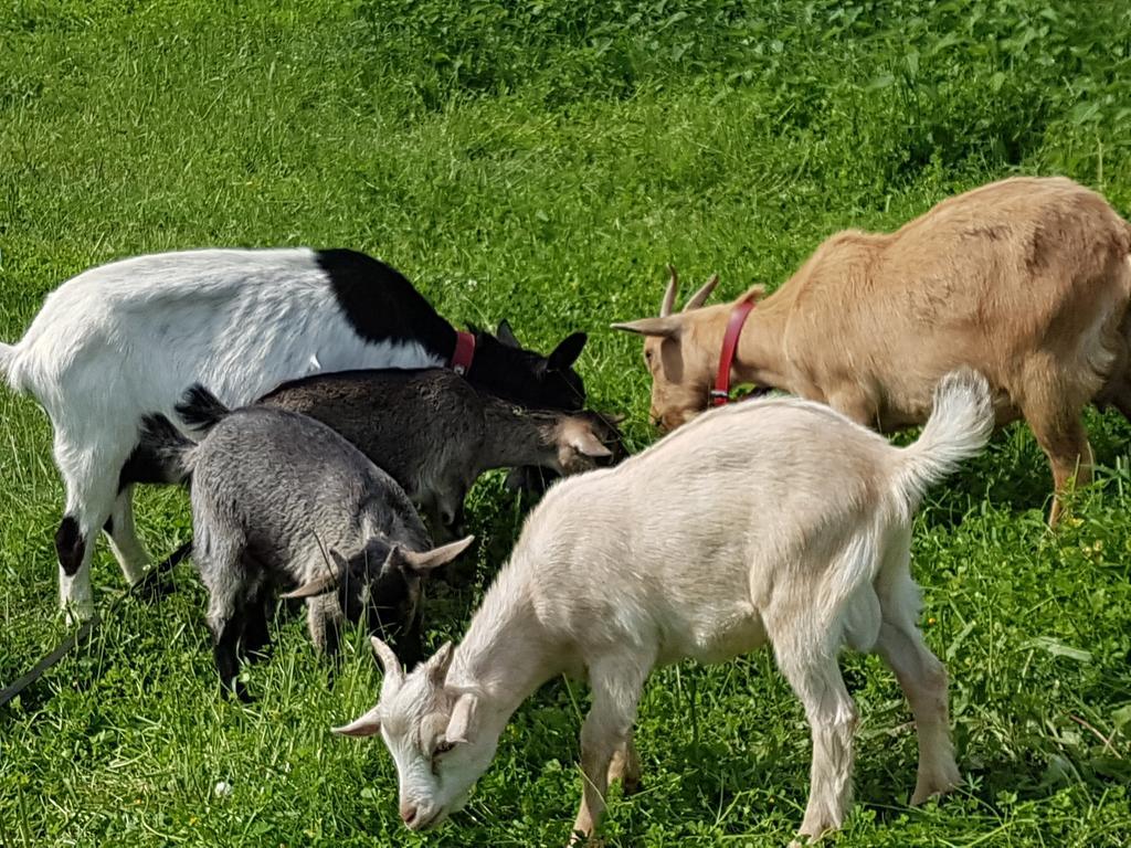 La Maison Du Bonheur Anlhiac Zewnętrze zdjęcie